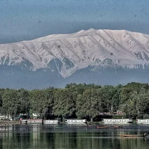 Pir_panjal_range_brown_chinar_kashmir