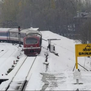 Railway_Station_in_Srinagar_brown_chinar_kashmir