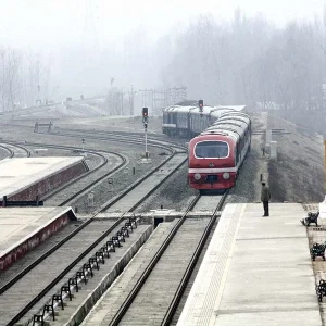 Railway_Station_in_Srinagar_brown_chinar_kashmir