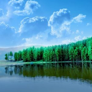Sanasar Lake brown chinar kashmir