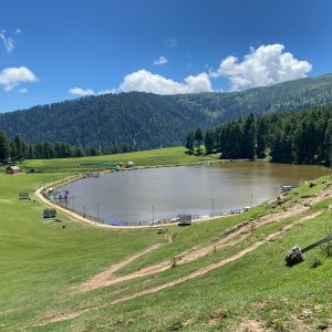 Sanasar Lake brown chinar kashmir