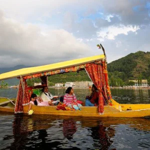 Shikara Rides brown chinar kashmir