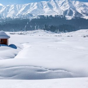 Snowfall_destinations_in-kashmir_brown_chinar_kashmir