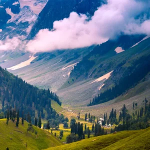 Sonmarg_brown_chinar_kashmir