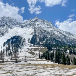 The-Thajiwas-glacier_sonamarg_brown_chinar_kashmir