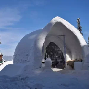 The_Gulmarg-Igloo_Café_brown_chinar_kashmir