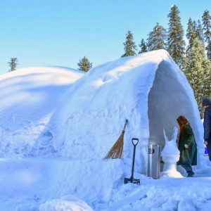 The_Gulmarg-Igloo_Café_brown_chinar_kashmir