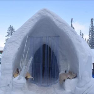 Igloo Café