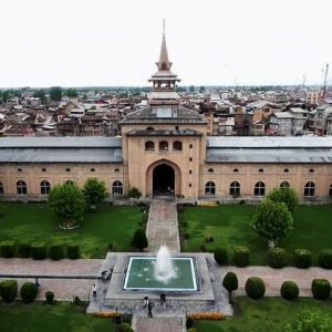 Tour of Historic Old Srinagar City brown chinar kashmir