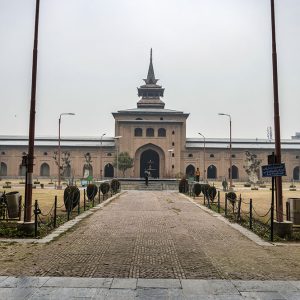 Tour_of_Historic_Old_Srinagar-City_brown_chinar_kashmir