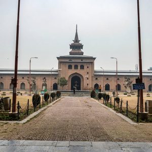Tour of Historic Old Srinagar City brown chinar kashmir