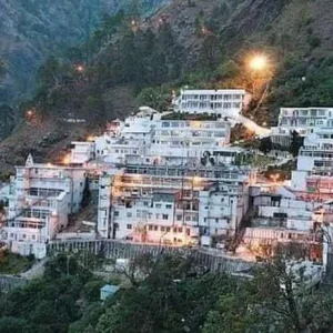 Vaishno Devi brown chinar kashmir