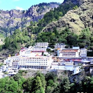 Vaishno Devi brown chinar kashmir