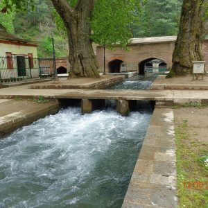 Verinag Spring and Mughal Garden brown chinar kashmir