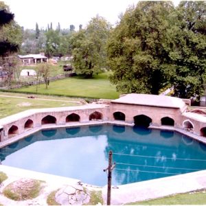 Verinag Spring and Mughal Garden brown chinar kashmir