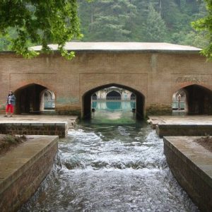 Verinag Spring and Mughal Garden brown chinar kashmir