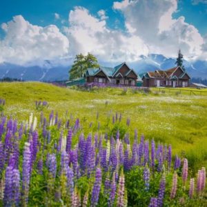 Low-Cost Kashmir Budget Trip : Complete Travel Guide