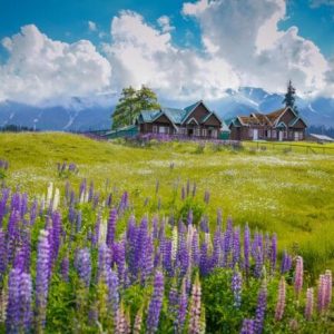 gulmarg in summer