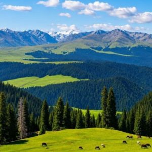 Summer vs Winter Kashmir
