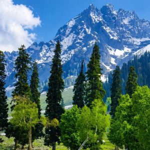 Kashmir Summer Tour Package Cost