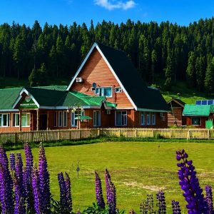 Kashmir Summer Tour Package Cost