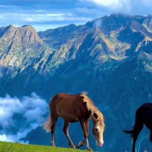 Kashmir Summer Tour Package Cost