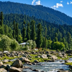 Best Time to Visit Kashmir in Summer