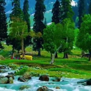 Kashmir Summer Itinerary