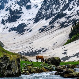 Kashmir Summer Itinerary