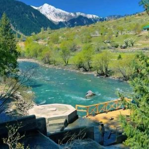 Best Hotels in Kashmir for Summer