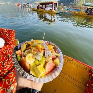 Kashmir vs Manali