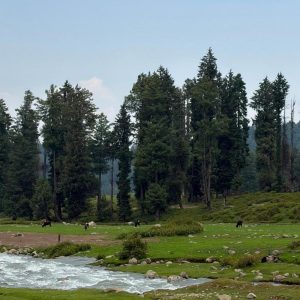 Affordable Kashmir Summer Tour Packages