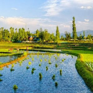 Best Offbeat Destinations in Kashmir