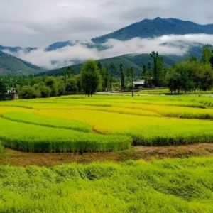 Hidden Valleys in Kashmir