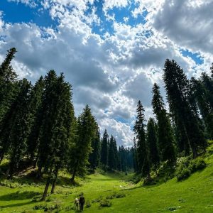Offbeat Places to Visit in Kashmir