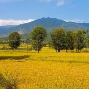 Offbeat Places to Visit in Kashmir