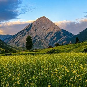 Offbeat Places to Visit in Kashmir
