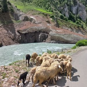 Where Are the Offbeat Places in Kashmir