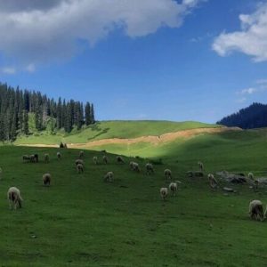 How to Reach Offbeat Kashmir from Mumbai