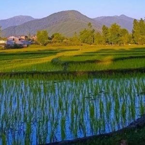 How to Reach Offbeat Kashmir from Mumbai