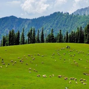 How to Reach Offbeat Kashmir from Mumbai