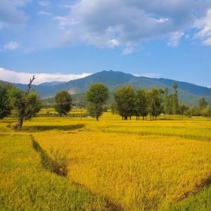 How to Reach Offbeat Kashmir from Srinagar