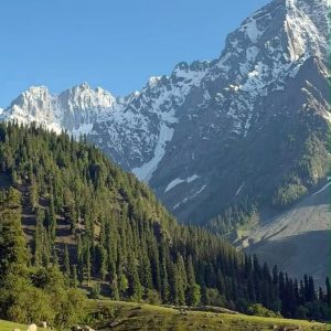 How to Choose a Travel Agency in Kashmir
