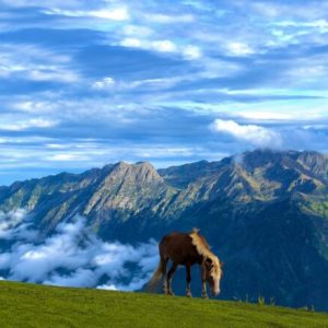 Local Travel Agency in Kashmir