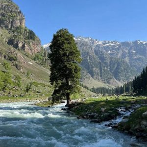 Local Travel Agency in Kashmir