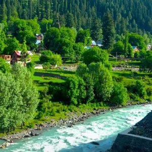 Tour Operator in Kashmir Services