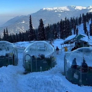 Tour Operator in Kashmir Services