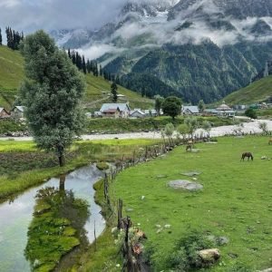 Tour Operator in Kashmir Services