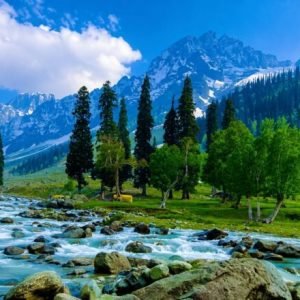 Kashmir Tour Package Cost