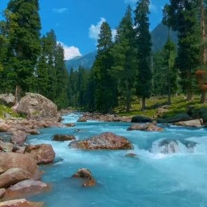 Kashmir Tour Package Booking Tips